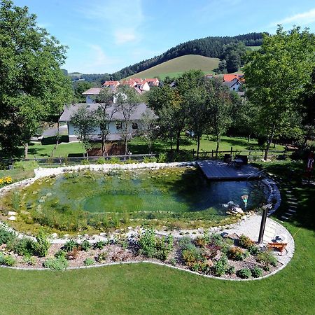 Hotel Geier Bad Schönau Exteriér fotografie