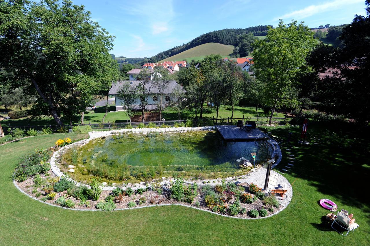 Hotel Geier Bad Schönau Exteriér fotografie